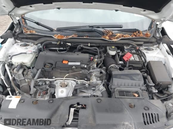 ✅ 2020 Honda Civic Sport • VIN: 2HGFC2F81LH572495 • Лот: 43665292. Опубликован ранее на IAAI с пробегом 59 578 миль. Бесплатный доступ к архиву аукционных продаж из США и подробный отчёт об истории автомобиля на DreamBid. Изображение 10.