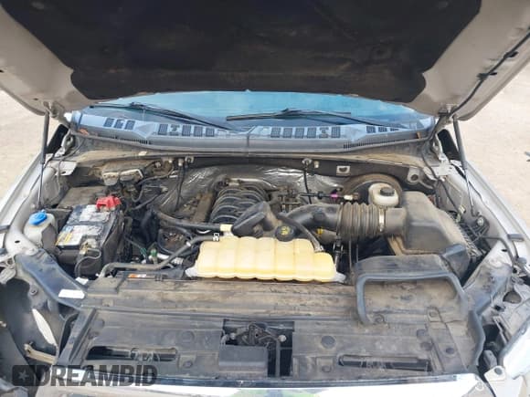 ✅ 2017 Ford F-150 XL • VIN: 1FTEW1CF6HKC17546 • Lot: 42149944. Wystawiony na IAAI z przebiegiem 142 979 mil. Bezpłatny archiwum sprzedaży aukcyjnych z USA i szczegółowy raport historii pojazdu na DreamBid. Zdjęcie 10.