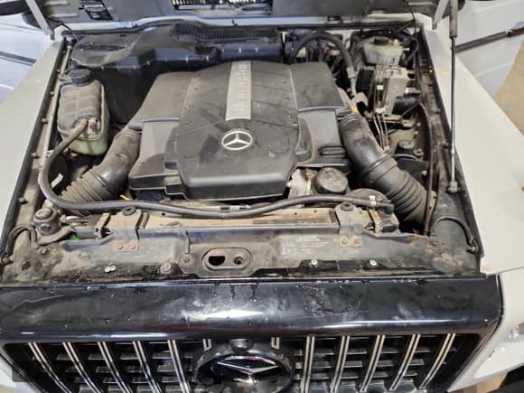 ✅ 2003 Mercedes-Benz G 500 • VIN: WDCYR49E13X142636 • Lot: 63864025. Wystawiony na Copart z przebiegiem 147 520 mil. Bezpłatny archiwum sprzedaży aukcyjnych z USA i szczegółowy raport historii pojazdu na DreamBid. Zdjęcie 12.