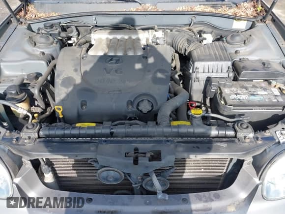 ✅ 2004 Hyundai Sonata GLS • VIN: KMHWF35H44A055278 • Lot: 42526427. Wystawiony na IAAI z przebiegiem 153 896 mil. Bezpłatny archiwum sprzedaży aukcyjnych z USA i szczegółowy raport historii pojazdu na DreamBid. Zdjęcie 10.