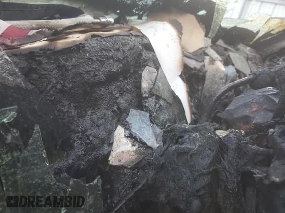 ✅ 1998 Ford F-150 • VIN: 1FTZX1760WNB14742 • Lot: 92538665. Listed on Copart with Not provided. Free auction sales archive from the USA and detailed vehicle history report at DreamBid. Image 9.