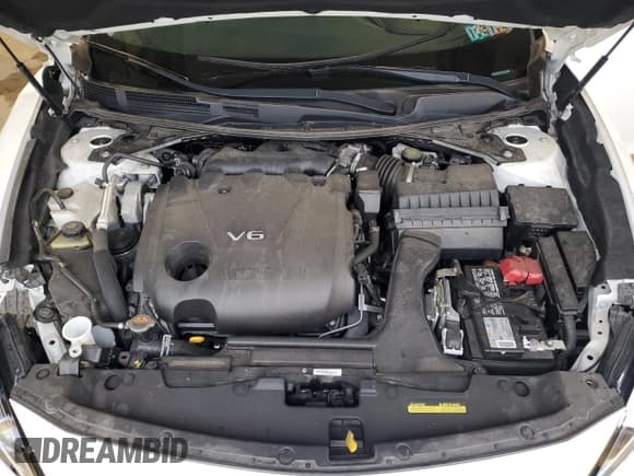 ✅ 2020 Nissan Maxima SL • VIN: 1N4AA6DV1LC386298 • Lot: 55671145. Listed on Copart with 24,602 mi. Free auction sales archive from the USA and detailed vehicle history report at DreamBid. Image 11.