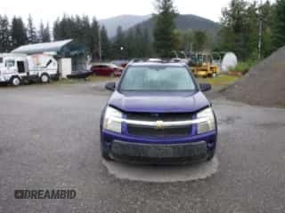 2006 Chevrolet Equinox LS z VIN 2CNDL23F466049475, wystawiony jako Copart lot #67545464 z przebiegiem 198 047 mil mil oraz Szkoda całkowita • Salvage title. Historia ofert i sprzedaży dostępna na DreamBid. Obrazek 5.