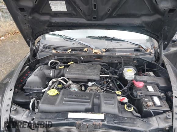 ✅ 2003 Dodge Durango SLT Plus • VIN: 1D4HS58N43F555712 • Лот: 43582707. Опубликован ранее на IAAI с пробегом 222 830 миль. Бесплатный доступ к архиву аукционных продаж из США и подробный отчёт об истории автомобиля на DreamBid. Изображение 10.