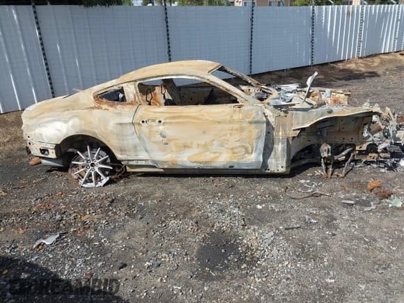 ✅ 2016 Ford Mustang Shelby GT350 • VIN: 1FA6P8JZ3G5520682 • Lot: 43458825. Listed on IAAI with Not provided. Free auction sales archive from the USA and detailed vehicle history report at DreamBid. Image 13.