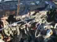 2000 Dodge Dakota z VIN 1B7FL26P7YS746821, wystawiony jako Copart lot #89311545 z przebiegiem Nie podano mil oraz Nie do naprawy • Non repairable. Historia ofert i sprzedaży dostępna na DreamBid. Obrazek 9.