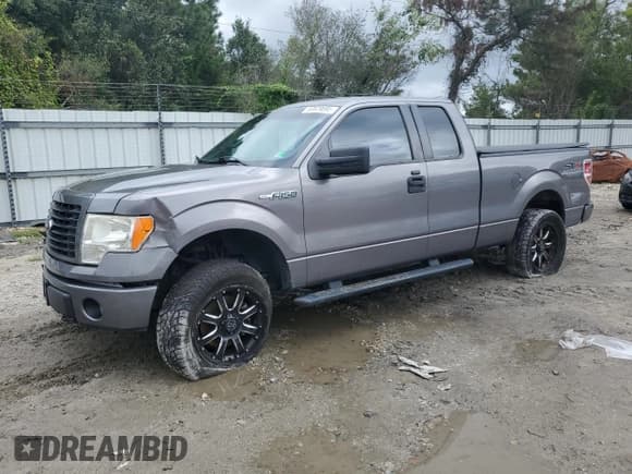 ✅ 2014 Ford F-150 STX • VIN: 1FTFX1EF4EKG30074 • Lot: 80829695. Wystawiony na Copart z przebiegiem 166 852 mil. Bezpłatny archiwum sprzedaży aukcyjnych z USA i szczegółowy raport historii pojazdu na DreamBid. Zdjęcie 1.