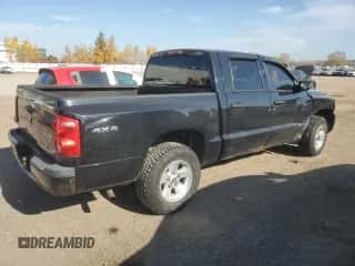 2010 Dodge Dakota Bighorn/Lonestar с VIN 1D7CW3GK3AS264409, выставлен на аукционе Copart как лот 77004214 с пробегом 214 089 миль миль и Чистый • Clean title. История ставок и продаж доступна на DreamBid. Изображение 3.