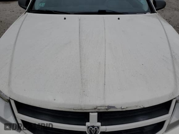 ✅ 2010 Dodge Avenger SXT • VIN: 1B3CC4FB8AN189491 • Lot: 78448914. Wystawiony na Copart z przebiegiem Nie podano. Bezpłatny archiwum sprzedaży aukcyjnych z USA i szczegółowy raport historii pojazdu na DreamBid. Zdjęcie 11.