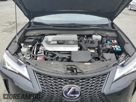 ✅ 2021 Lexus UX 250h F Sport • VIN: JTHE9JBH3M2053479 • Лот: 85153595. Опубликован ранее на Copart с пробегом 119 724 миль. Бесплатный доступ к архиву аукционных продаж из США и подробный отчёт об истории автомобиля на DreamBid. Изображение 12.