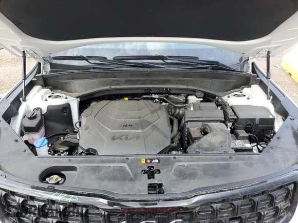 ✅ 2025 Kia Telluride SX X-Line • VIN: 5XYP5DGC0SG615829 • Lot: 54059675. Wystawiony na Copart z przebiegiem 5 337 mil. Bezpłatny archiwum sprzedaży aukcyjnych z USA i szczegółowy raport historii pojazdu na DreamBid. Zdjęcie 12.