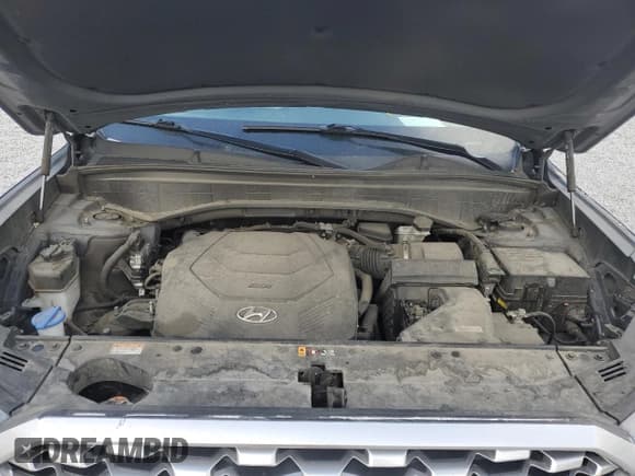 ✅ 2022 Hyundai Palisade SEL • VIN: KM8R34HE0NU361259 • Лот: 84671274. Опубликован ранее на Copart с пробегом 125 191 миль. Бесплатный доступ к архиву аукционных продаж из США и подробный отчёт об истории автомобиля на DreamBid. Изображение 12.