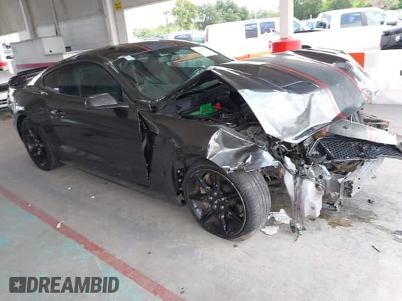 ✅ 2019 Ford Mustang GT • VIN: 1FA6P8CF5K5196372 • Lot: 43047774. Listed on IAAI with Not provided. Free auction sales archive from the USA and detailed vehicle history report at DreamBid. Image 1.