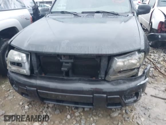 ✅ 2003 Chevrolet TrailBlazer LT • VIN: 1GNDS13S332156323 • Лот: 43741912. Опубликован ранее на IAAI с пробегом 211 309 миль. Бесплатный доступ к архиву аукционных продаж из США и подробный отчёт об истории автомобиля на DreamBid. Изображение 12.