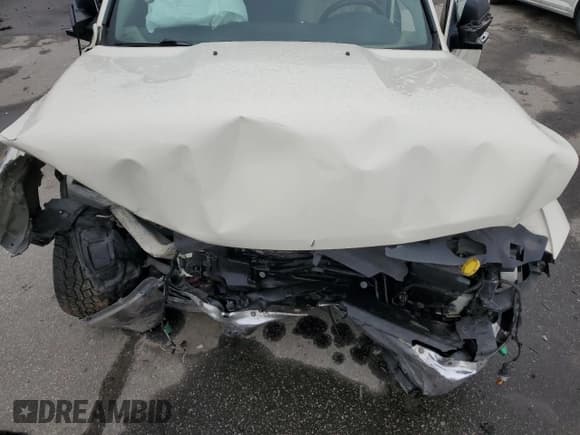 ✅ 2010 Dodge 1500 SLT • VIN: 1D7RV1CT1AS227326 • Lot: 44240065. Wystawiony na Copart z przebiegiem Nie podano. Bezpłatny archiwum sprzedaży aukcyjnych z USA i szczegółowy raport historii pojazdu na DreamBid. Zdjęcie 12.