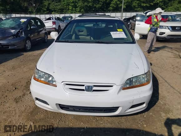 2001 Honda Accord EX с VIN 1HGCG22581A016294, выставлен на аукционе IAAI как лот 42651031 с пробегом 167 045 миль миль и . История ставок и продаж доступна на DreamBid. Изображение 13.