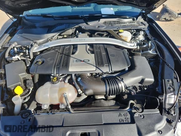 ✅ 2019 Ford Mustang GT • VIN: 1FA6P8CF6K5197708 • Lot: 90904395. Listed on Copart with 14,015 mi. Free auction sales archive from the USA and detailed vehicle history report at DreamBid. Image 11.