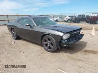 ✅ 2013 Dodge Challenger R/T • VIN: 2C3CDYBT7DH674305 • Lot: 42271344. Listed on IAAI with Not provided. Free auction sales archive from the USA and detailed vehicle history report at DreamBid. Image 1.
