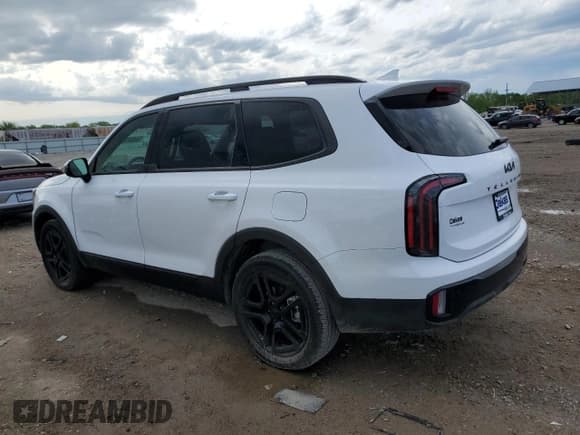 ✅ 2025 Kia Telluride SX X-Line • VIN: 5XYP5DGC0SG615829 • Lot: 54059675. Wystawiony na Copart z przebiegiem 5 337 mil. Bezpłatny archiwum sprzedaży aukcyjnych z USA i szczegółowy raport historii pojazdu na DreamBid. Zdjęcie 2.