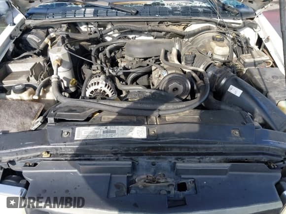 ✅ 2003 Chevrolet S-10 LS • VIN: 1GCCS19X538244231 • Лот: 43365375. Опубликован ранее на IAAI с пробегом 242 501 миль. Бесплатный доступ к архиву аукционных продаж из США и подробный отчёт об истории автомобиля на DreamBid. Изображение 10.