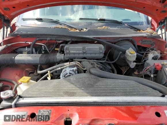 ✅ 2001 Dodge 1500 • VIN: 3B7HF13Y51G789476 • Lot: 62226295. Wystawiony na Copart z przebiegiem 196 483 mil. Bezpłatny archiwum sprzedaży aukcyjnych z USA i szczegółowy raport historii pojazdu na DreamBid. Zdjęcie 11.