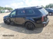 ✅ 2025 Kia Telluride SX-Prestige X-Line • VIN: 5XYP5DGCXSG612095 • Лот: 64888715. Опубликован ранее на Copart с пробегом 13 568 миль. Бесплатный доступ к архиву аукционных продаж из США и подробный отчёт об истории автомобиля на DreamBid. Изображение 2.