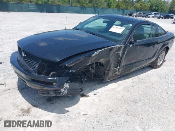 ✅ 2006 Ford Mustang Standard • VIN: 1ZVFT80N565150206 • Lot: 42253397. Listed on IAAI with 73,624 mi. Free auction sales archive from the USA and detailed vehicle history report at DreamBid. Image 6.