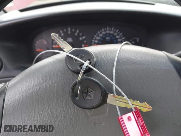 ✅ 1997 Dodge Caravan SE • VIN: 1B4GP45R2VB457507 • Lot: 43507677. Wystawiony na IAAI z przebiegiem Nie podano. Bezpłatny archiwum sprzedaży aukcyjnych z USA i szczegółowy raport historii pojazdu na DreamBid. Zdjęcie 11.