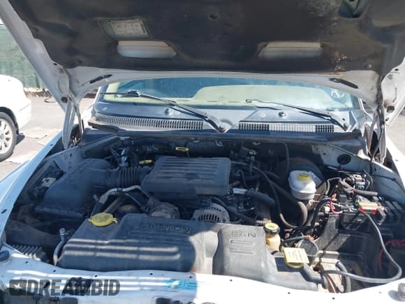 ✅ 2000 Dodge Durango • VIN: 1B4HS28N2YF237569 • Lot: 42620463. Wystawiony na IAAI z przebiegiem Nie podano. Bezpłatny archiwum sprzedaży aukcyjnych z USA i szczegółowy raport historii pojazdu na DreamBid. Zdjęcie 10.