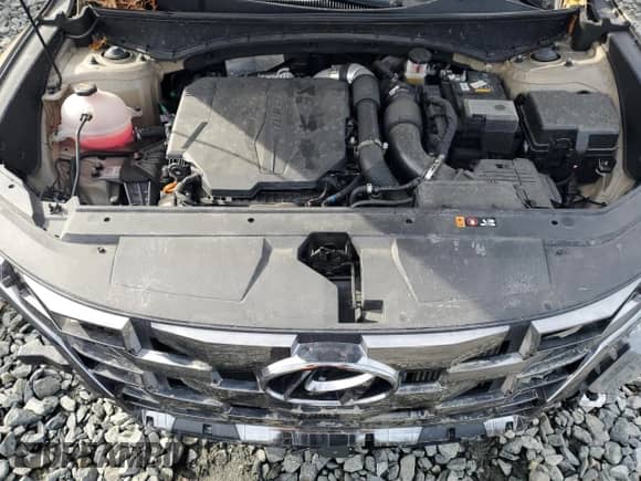 2024 Hyundai Santa Cruz Limited с VIN 5NTJEDAF3RH098121, выставлен на аукционе Copart как лот 43747085 с пробегом 20 545 миль миль и Чистый • Clean title. История ставок и продаж доступна на DreamBid. Изображение 12.