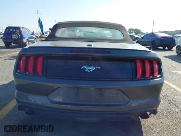 ✅ 2020 Ford Mustang EcoBoost Premium • VIN: 1FATP8UH8L5138728 • Lot: 43512721. Wystawiony na IAAI z przebiegiem 137 221 mil. Bezpłatny archiwum sprzedaży aukcyjnych z USA i szczegółowy raport historii pojazdu na DreamBid. Zdjęcie 17.