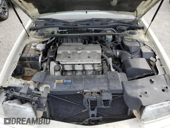 ✅ 1999 Cadillac Eldorado • VIN: 1G6EL12Y7XU615169 • Лот: 76459744. Опубликован ранее на Copart с пробегом Не указан. Бесплатный доступ к архиву аукционных продаж из США и подробный отчёт об истории автомобиля на DreamBid. Изображение 11.