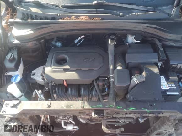 2019 Hyundai Santa Fe SE with VIN 5NMS2CAD2KH008660, listed as a Copart auction lot 89726155 with 76,060 mi miles and Salvage title. Bid and sale history available at DreamBid. Image 12.