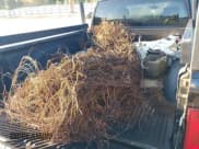 ✅ 2009 Dodge 1500 SLT • VIN: 1D3HB18P29S774408 • Lot: 40308323. Wystawiony na IAAI z przebiegiem 195 958 mil. Bezpłatny archiwum sprzedaży aukcyjnych z USA i szczegółowy raport historii pojazdu na DreamBid. Zdjęcie 22.