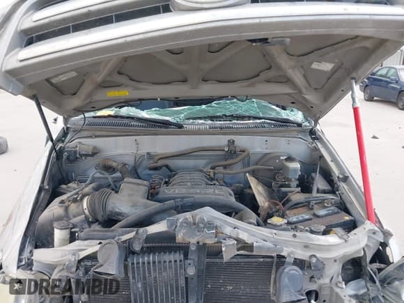 ✅ 2006 Toyota Tundra SR5 • VIN: 5TBDT44136S520050 • Lot: 43045390. Listed on IAAI with Not provided. Free auction sales archive from the USA and detailed vehicle history report at DreamBid. Image 10.