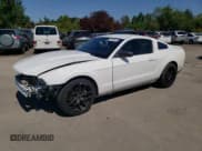 ✅ 2011 Ford Mustang V6 • VIN: 1ZVBP8AM5B5119749 • Lot: 65760385. Listed on Copart with 134,358 mi. Free auction sales archive from the USA and detailed vehicle history report at DreamBid. Image 1.