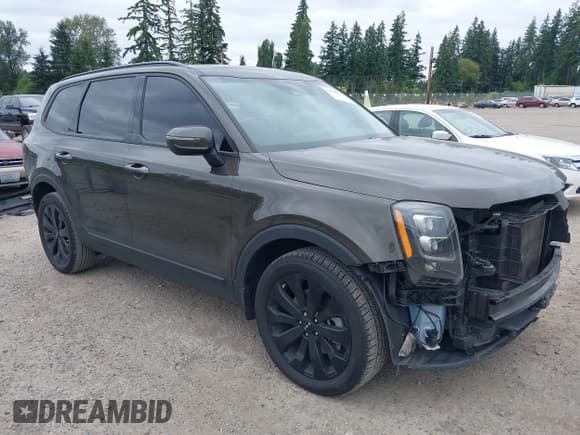 ✅ 2022 Kia Telluride EX • VIN: 5XYP34HC1NG316438 • Lot: 42508673. Wystawiony na IAAI z przebiegiem 96 553 mil. Bezpłatny archiwum sprzedaży aukcyjnych z USA i szczegółowy raport historii pojazdu na DreamBid. Zdjęcie 1.