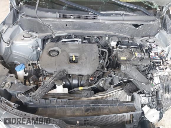 ✅ 2022 Kia Seltos LX • VIN: KNDEPCAA7N7308193 • Lot: 43451058. Listed on IAAI with Not provided. Free auction sales archive from the USA and detailed vehicle history report at DreamBid. Image 10.