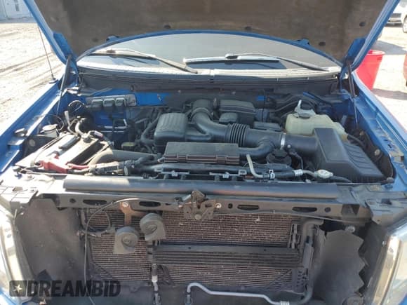 ✅ 2010 Ford F-150 XL • VIN: 1FTFX1EV3AFC01745 • Лот: 59606885. Опубликован ранее на Copart с пробегом 126 060 миль. Бесплатный доступ к архиву аукционных продаж из США и подробный отчёт об истории автомобиля на DreamBid. Изображение 11.