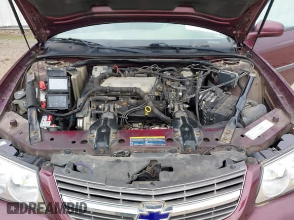 ✅ 2003 Chevrolet Impala • VIN: 2G1WF52E439280359 • Lot: 43217304. Wystawiony na IAAI z przebiegiem 157 097 mil. Bezpłatny archiwum sprzedaży aukcyjnych z USA i szczegółowy raport historii pojazdu na DreamBid. Zdjęcie 10.