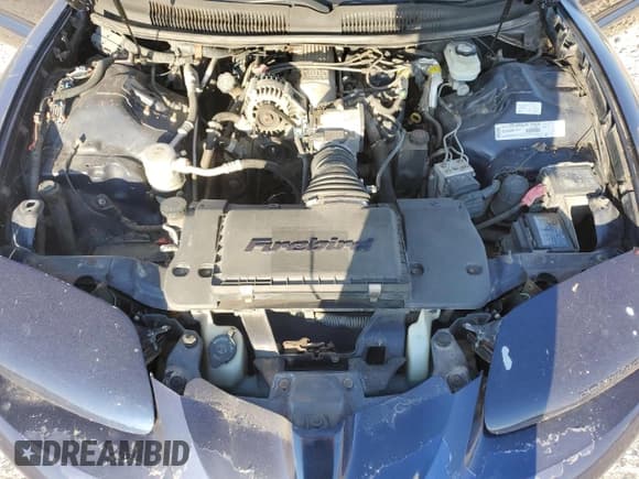 ✅ 2000 Pontiac Firebird Firebird • VIN: 2G2FS22K7Y2145503 • Lot: 80487434. Wystawiony na Copart z przebiegiem 120 386 mil. Bezpłatny archiwum sprzedaży aukcyjnych z USA i szczegółowy raport historii pojazdu na DreamBid. Zdjęcie 11.