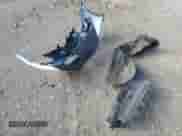 2021 Chevrolet Bolt EV LT z VIN 1G1FY6S02M4103527, wystawiony jako Copart lot #81550613 z przebiegiem 56 790 mil mil oraz . Historia ofert i sprzedaży dostępna na DreamBid. Obrazek 12.