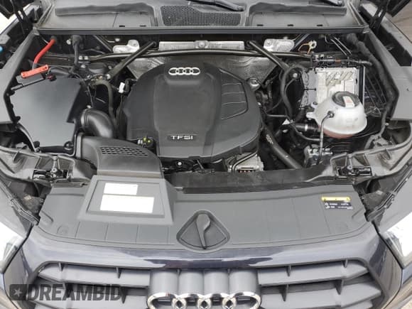 ✅ 2019 Audi Q5 • VIN: WA1BNBFY9K2057043 • Lot: 65539623. Listed on Copart with 48,031 mi. Free auction sales archive from the USA and detailed vehicle history report at DreamBid. Image 11.