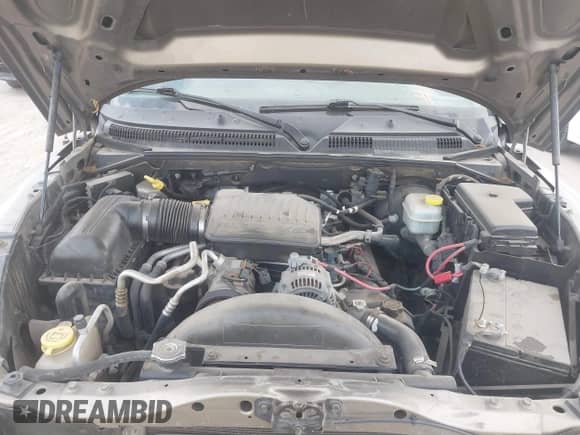 2006 Dodge Dakota SLT with VIN 1D7HE48N16S703072, listed as a IAAI auction lot 42156709 with 102,919 mi miles and . Bid and sale history available at DreamBid. Image 10.