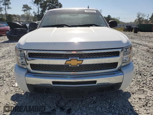 ✅ 2009 Chevrolet Silverado 1500 • VIN: 2GCEC290991103382 • Lot: 76093724. Wystawiony na Copart z przebiegiem 412 926 mil. Bezpłatny archiwum sprzedaży aukcyjnych z USA i szczegółowy raport historii pojazdu na DreamBid. Zdjęcie 5.