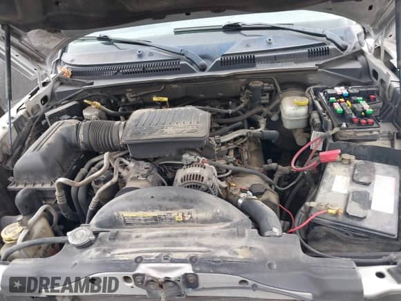 2005 Dodge Dakota Laramie with VIN 1D7HE58N05S244878, listed as a IAAI auction lot 41662513 with 171,323 mi miles and . Bid and sale history available at DreamBid. Image 10.