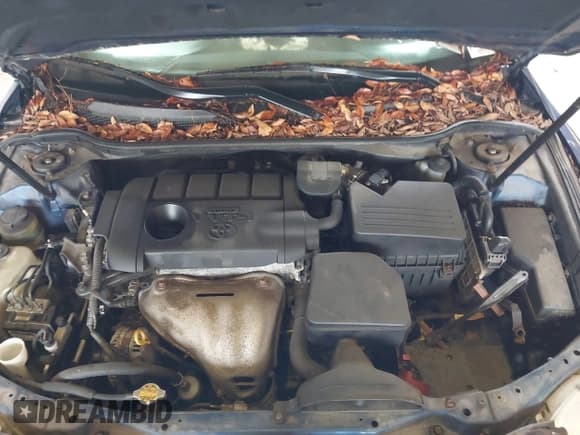 ✅ 2010 Toyota Camry LE • VIN: 4T1BF3EKXAU577336 • Lot: 43568053. Wystawiony na IAAI z przebiegiem 165 943 mil. Bezpłatny archiwum sprzedaży aukcyjnych z USA i szczegółowy raport historii pojazdu na DreamBid. Zdjęcie 10.