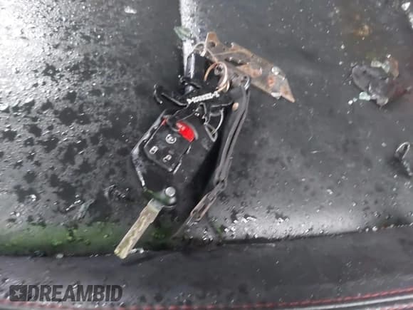 ✅ 2020 Jeep Wrangler Unlimited Rubicon • VIN: 1C4HJXFN8LW304013 • Lot: 41066102. Wystawiony na IAAI z przebiegiem 16 059 mil. Bezpłatny archiwum sprzedaży aukcyjnych z USA i szczegółowy raport historii pojazdu na DreamBid. Zdjęcie 11.