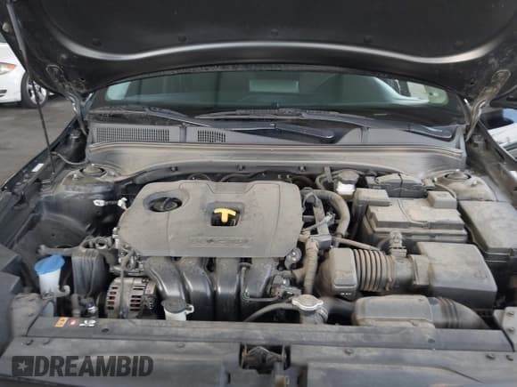 ✅ 2023 Kia Forte LXS • VIN: 3KPF24AD8PE607486 • Lot: 43666572. Listed on IAAI with 31,311 mi. Free auction sales archive from the USA and detailed vehicle history report at DreamBid. Image 10.