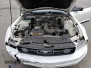 ✅ 2009 Ford Mustang • VIN: 1ZVHT84NX95146353 • Lot: 69534965. Listed on Copart with 219,422 mi. Free auction sales archive from the USA and detailed vehicle history report at DreamBid. Image 11.